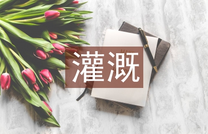 探析農田水利灌溉管理